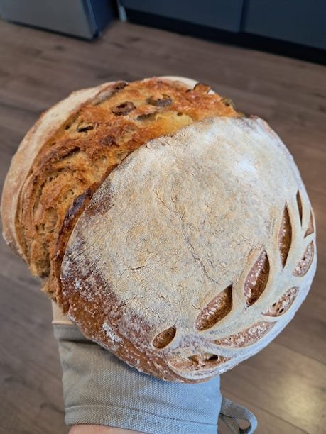 Sourdough Loaf